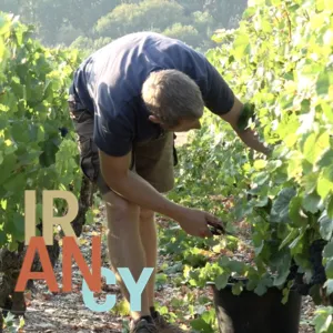Bienvenue en Irancy