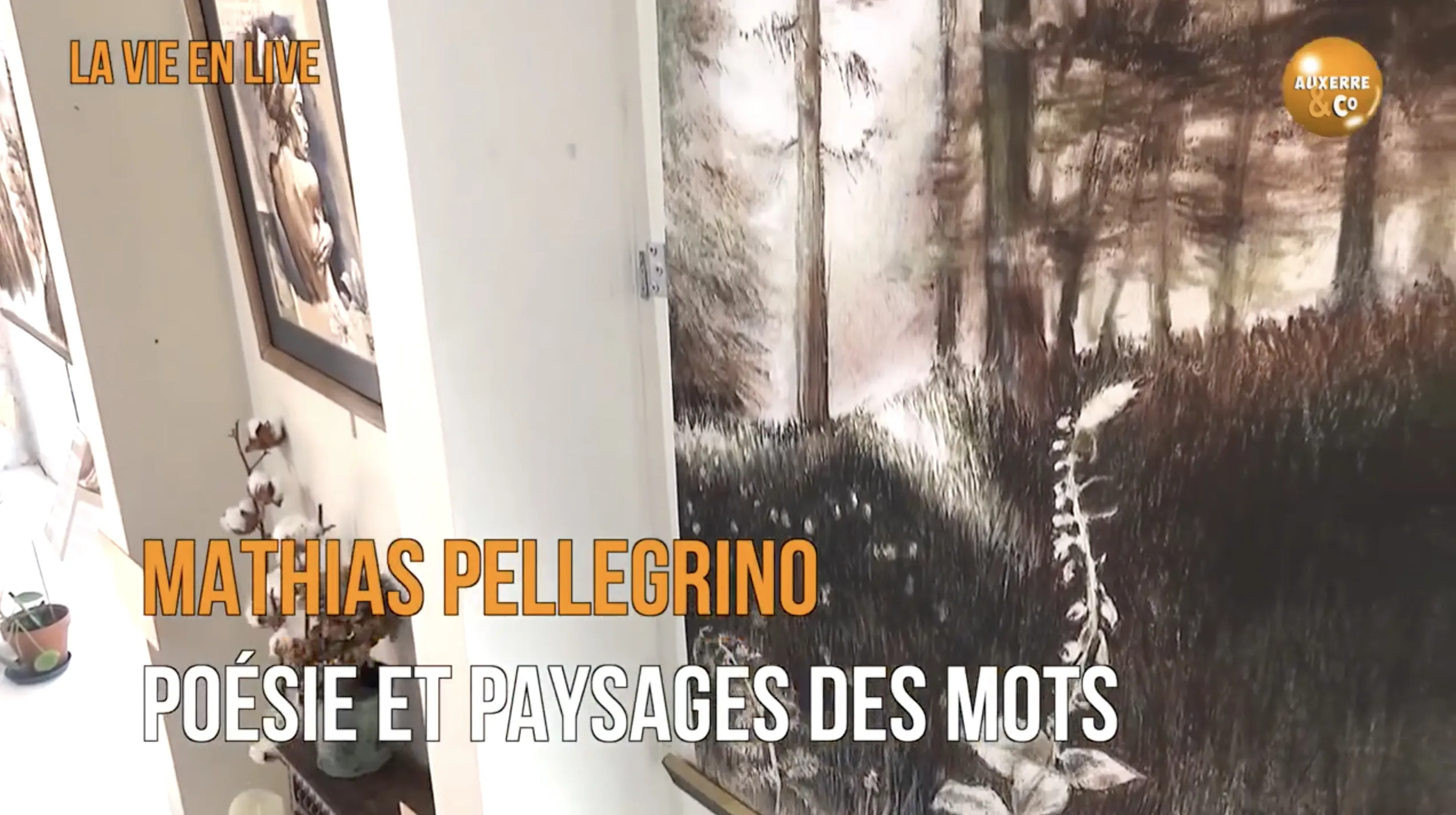 Mathias Pellegrino entre poésies et paysages