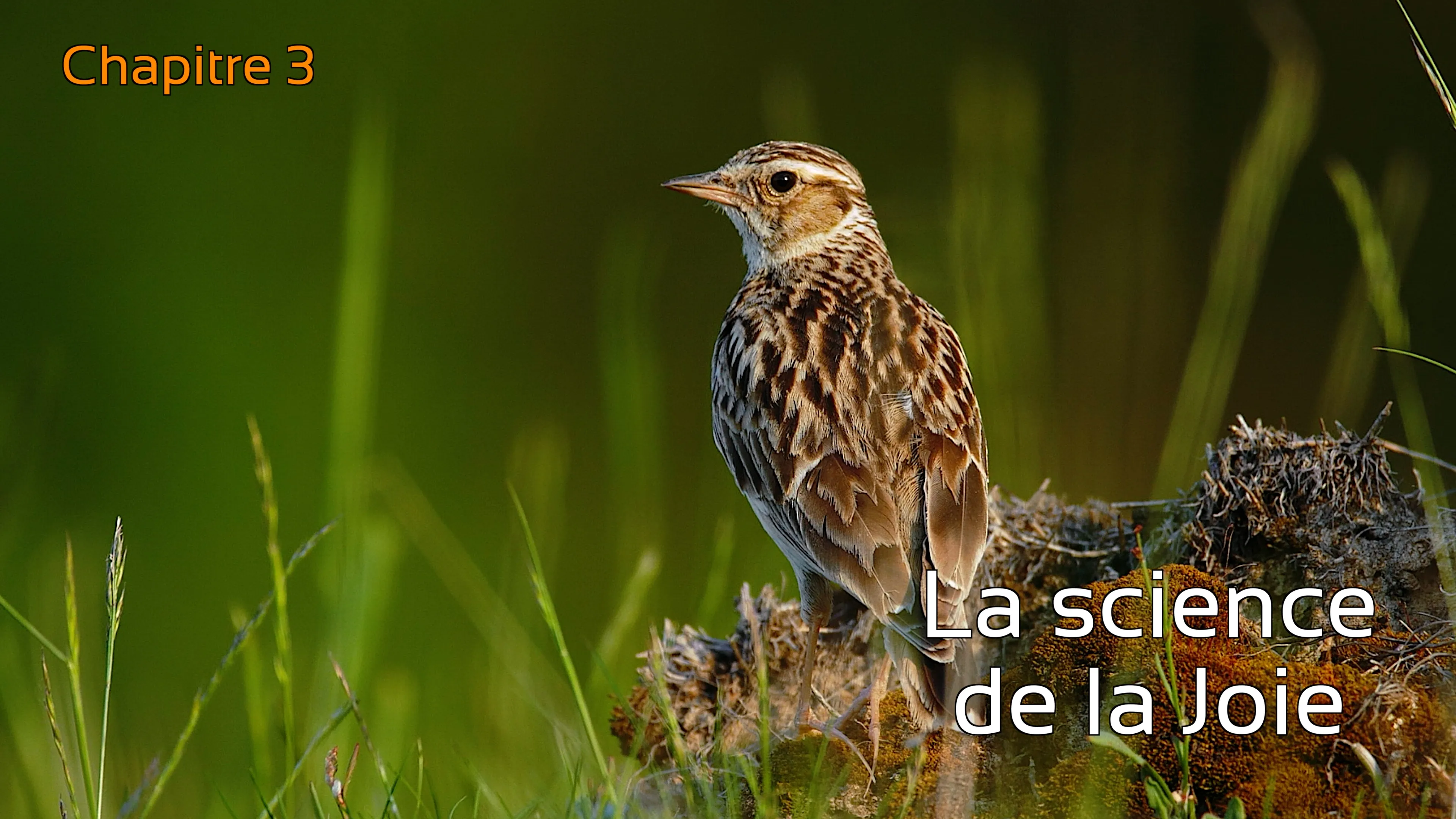 Elise Bisschop, Chapitre 3, La science de la joie