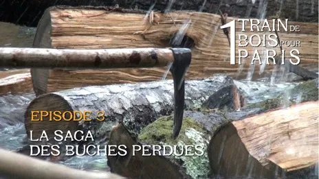 La saga des bûches perdues
