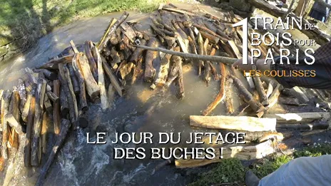 Reconstitution du jetage des bûches